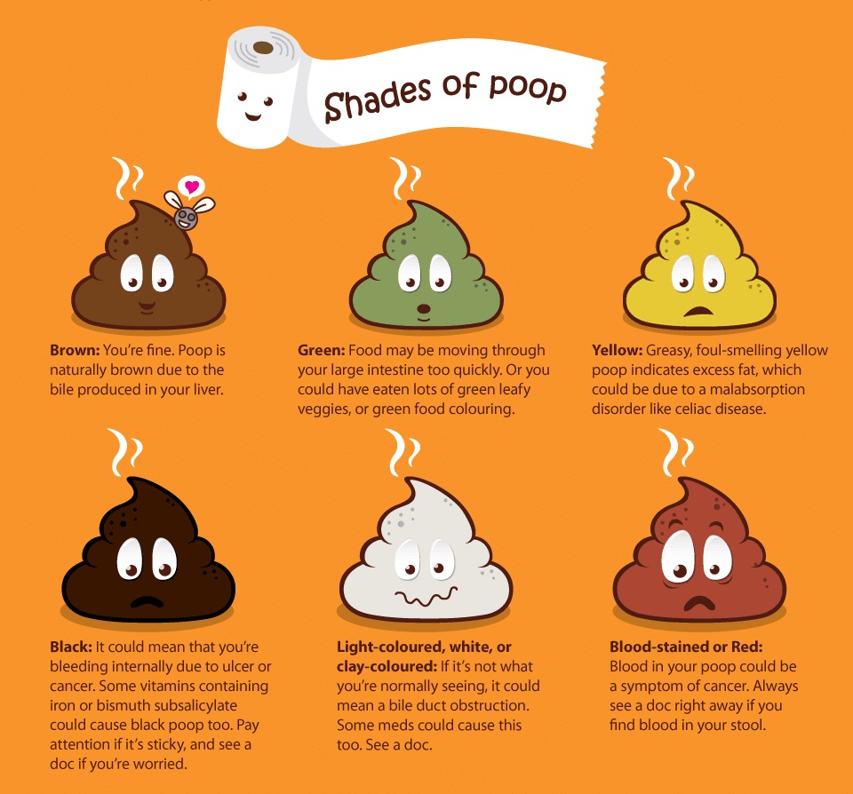 What's your poop like? - il Sanitario
