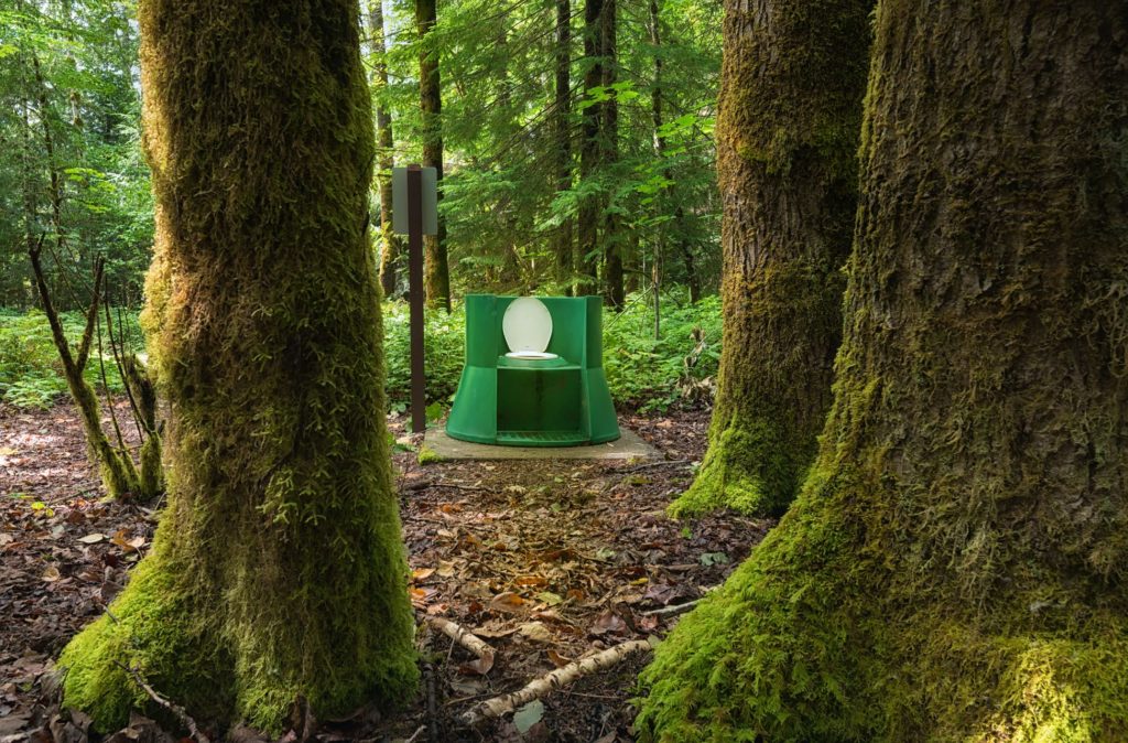Toilet in a mossy forest