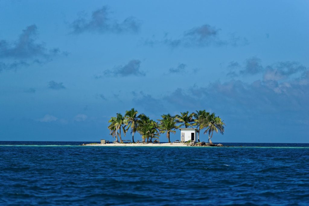 Toilet island reduced