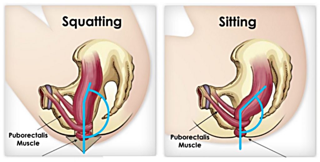 squatting and sitting