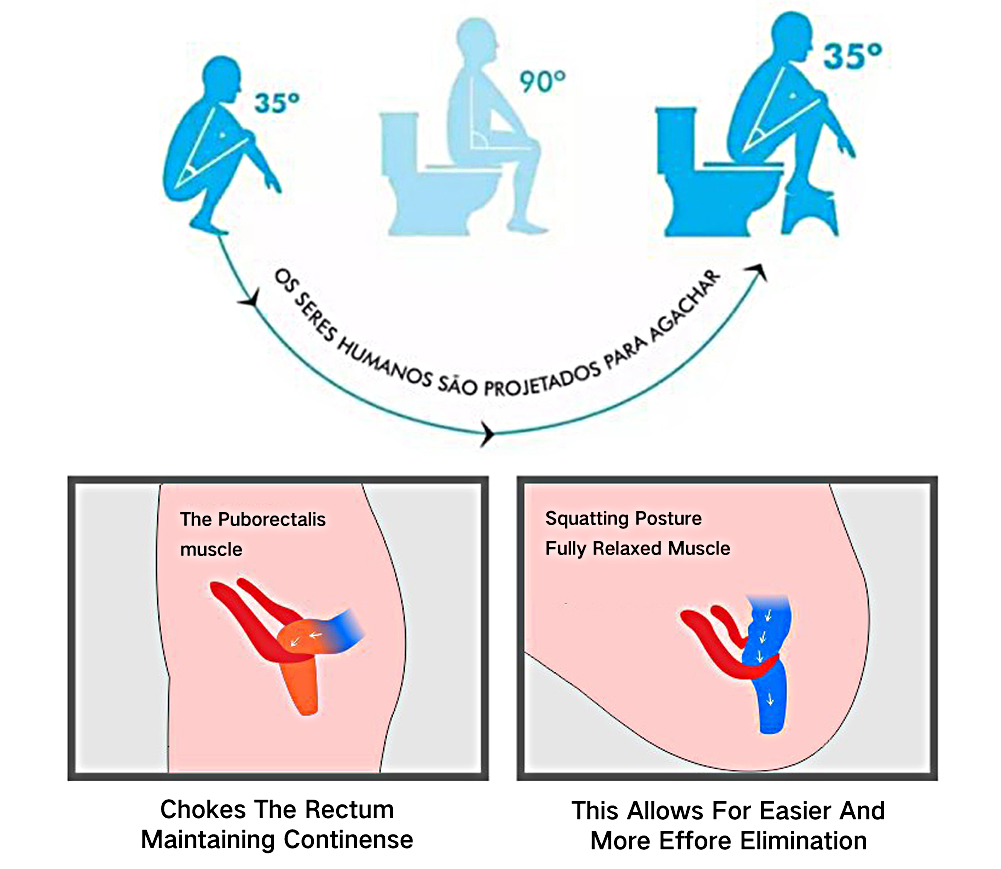 toilet posture