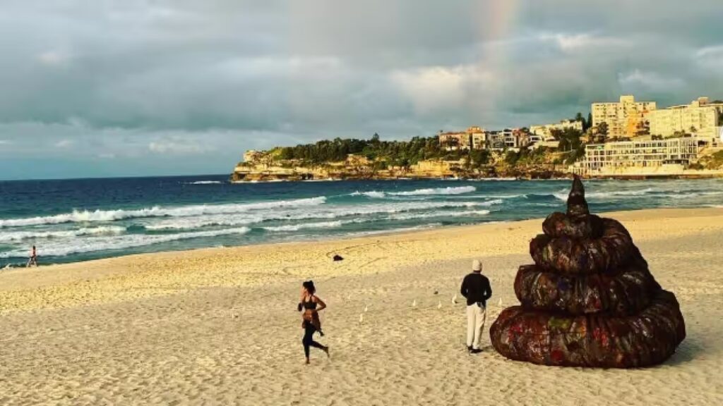 poop sculpture on australian beach