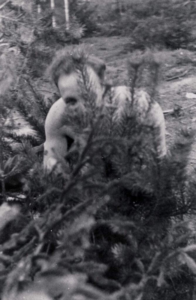 german soldier taking a dump