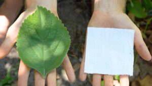 La carta igienica africana