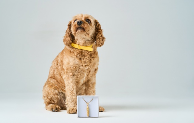 dog poo pendant