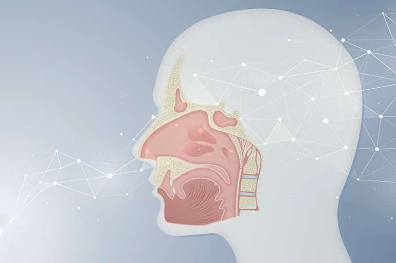 neural networks detecting smell