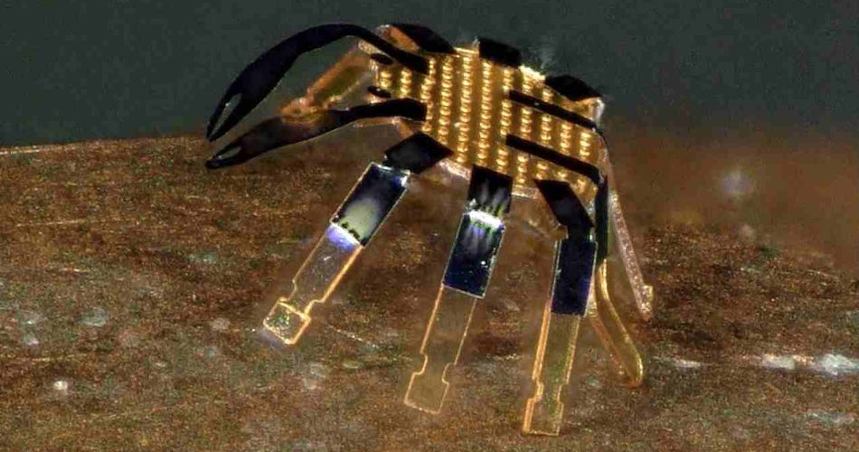 crab robots