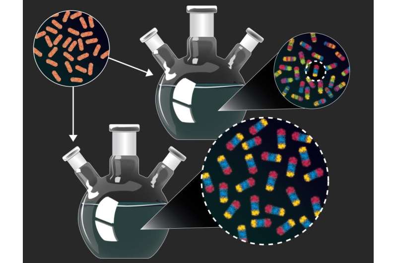 new nanoparticles
